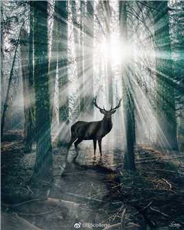 葡撻雕老师照片